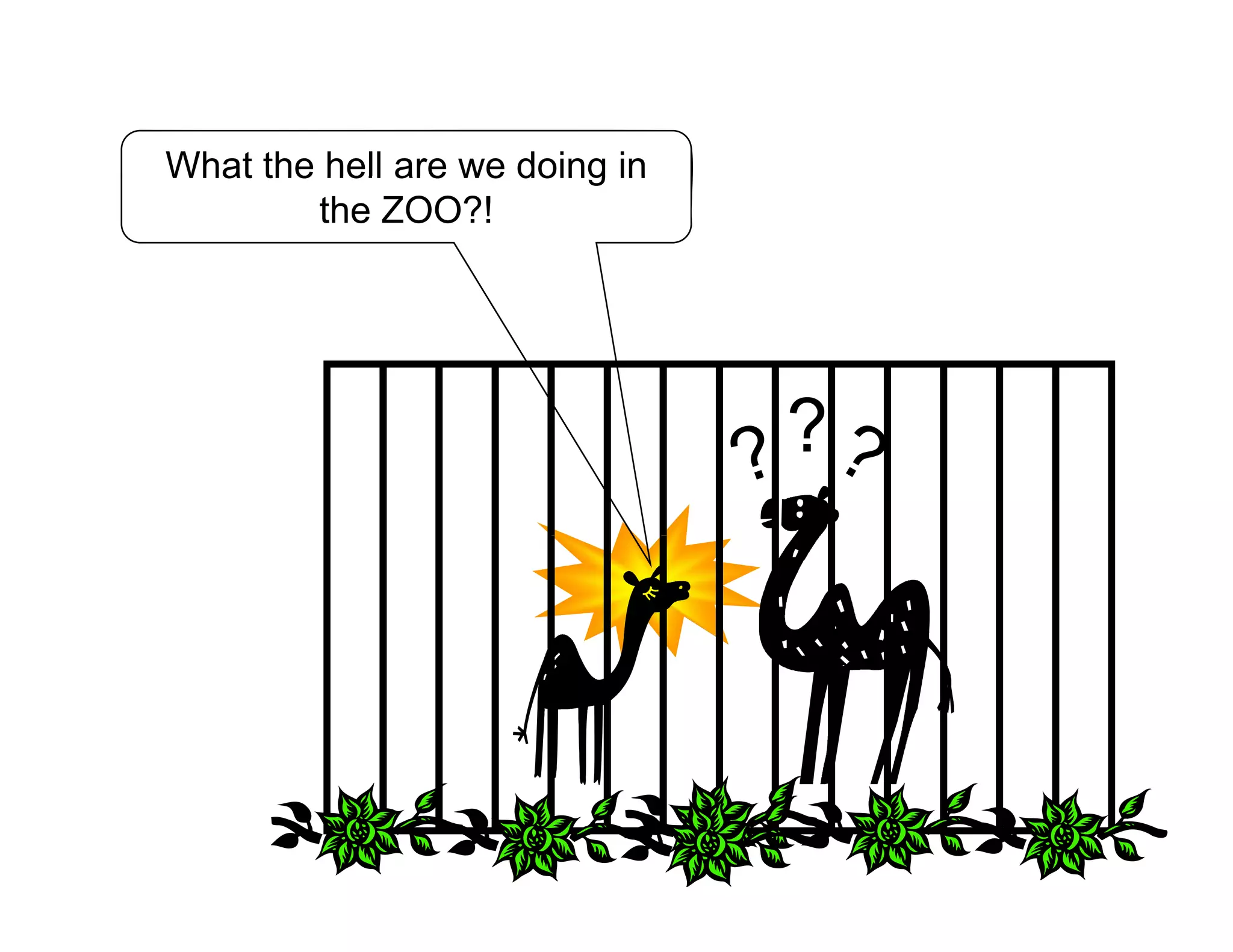 What the hell are we doing inWhat the hell are we doing in
the ZOO?!
??
 