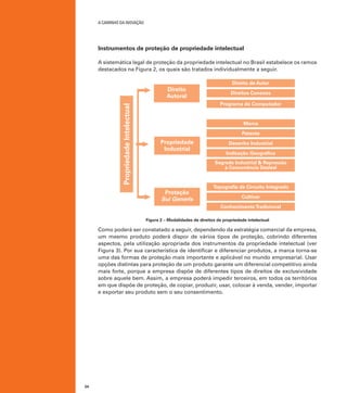 A caminho da inovação

Instrumentos de proteção de propriedade intelectual
A sistemática legal de proteção da propriedade intelectual no Brasil estabelece os ramos
destacados na Figura 2, os quais são tratados individualmente a seguir.

Propriedade Intelectual

Direito
Autoral

Direito de Autor
Direitos Conexos
Programa de Computador

Marca
Patente

Propriedade
Industrial

Desenho Industrial
Indicação Geográfica
Segredo Industrial & Repressão
à Concorrência Desleal

Proteção
Sui Generis

Topografia de Circuito Integrado
Cultivar
Conhecimento Tradicional

Figura 2 – Modalidades de direitos de propriedade intelectual

Como poderá ser constatado a seguir, dependendo da estratégia comercial da empresa,
um mesmo produto poderá dispor de vários tipos de proteção, cobrindo diferentes
aspectos, pela utilização apropriada dos instrumentos da propriedade intelectual (ver
Figura 3). Por sua característica de identificar e diferenciar produtos, a marca torna-se
uma das formas de proteção mais importante e aplicável no mundo empresarial. Usar
opções distintas para proteção de um produto garante um diferencial competitivo ainda
mais forte, porque a empresa dispõe de diferentes tipos de direitos de exclusividade
sobre aquele bem. Assim, a empresa poderá impedir terceiros, em todos os territórios
em que dispõe de proteção, de copiar, produzir, usar, colocar à venda, vender, importar
e exportar seu produto sem o seu consentimento.

24

 