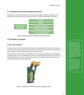 propriedade industrial

3.1 Considerações sobre propriedade industrial
No âmbito do direito da proteção de bens de propriedade industrial, a seguir serão
abordados os principais aspectos que envolvem os ramos destacados na Figura 4.

Marca
Patente

Propriedade
Industrial

Desenho Industrial
Indicação Geográfica
Segredo Industrial & Repressão
à Concorrência Desleal

Figura 4 – Ramos da proteção do direito da propriedade industrial

3.2 Proteção por patente
Há muitas invenções que
são o resultado de consideráveis esforços e altos
investimentos em Pesquisa
e Desenvolvimento (P&D),
porém há também muitas
melhorias incrementais,
simples e tecnicamente não
onerosas que são legalmente protegidas por patentes
de grande valor comercial e
que são altamente rentáveis
para as empresas e seus
inventores.

O que é uma patente?
A patente é um título de propriedade temporária concedidos pelo Estado, com base na
Lei de Propriedade Industrial (LPI), àqueles que inventam novos produtos, processos ou
fazem aperfeiçoamentos destinados à aplicação industrial.
É o instrumento de proteção mais utilizado na de inovação tecnológica. Sua importância
é fundamental, pois a concessão deste direito de exclusividade garante ao seu titular a
possibilidade de retorno do investimento aplicado no desenvolvimento de novos produtos e processos industriais (Figura 5).

Há ainda produtos inovadores complexos como,
por exemplo, um automóvel, que constantemente
incorpora em sua fabricação um grande número
de invenções cobertas por
inúmeras patentes que
pertencem a diferentes
titulares.

Figura 5 – Ilustração de um produto patenteado – Amassador de latas

27

 