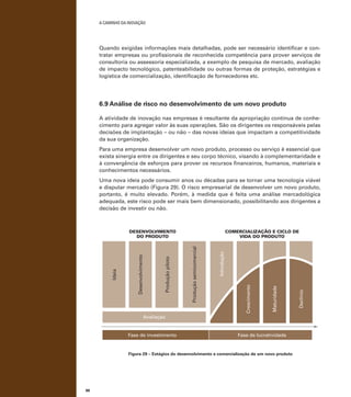A caminho da inovação

Quando exigidas informações mais detalhadas, pode ser necessário identificar e contratar empresas ou profissionais de reconhecida competência para prover serviços de
consultoria ou assessoria especializada, a exemplo de pesquisa de mercado, avaliação
de impacto tecnológico, patenteabilidade ou outras formas de proteção, estratégias e
logística de comercialização, identificação de fornecedores etc.

6.9 Análise de risco no desenvolvimento de um novo produto
A atividade de inovação nas empresas é resultante da apropriação contínua de conhecimento para agregar valor às suas operações. São os dirigentes os responsáveis pelas
decisões de implantação – ou não – das novas ideias que impactam a competitividade
da sua organização.
Para uma empresa desenvolver um novo produto, processo ou serviço é essencial que
exista sinergia entre os dirigentes e seu corpo técnico, visando à complementaridade e
à convergência de esforços para prover os recursos financeiros, humanos, materiais e
conhecimentos necessários.
Uma nova ideia pode consumir anos ou décadas para se tornar uma tecnologia viável
e disputar mercado (Figura 29). O risco empresarial de desenvolver um novo produto,
portanto, é muito elevado. Porém, à medida que é feita uma análise mercadológica
adequada, este risco pode ser mais bem dimensionado, possibilitando aos dirigentes a
decisão de investir ou não.

Avaliação

Fase de investimento

Fase de lucratividade

Figura 29 – Estágios do desenvolvimento e comercialização de um novo produto

88

Declínio

Maturidade

Crescimento

Introdução

comercialização e ciclo de
vida do produto

Produção semicomercial

Produção piloto

Desenvolvimento

Ideia

desenvolvimento
do produto

 