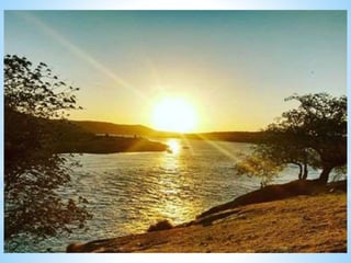 A caminho da luz   cap 12 