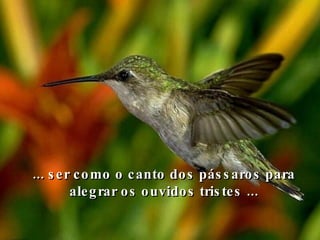 ... ser como o canto dos pássaros para alegrar os ouvidos tristes ... 