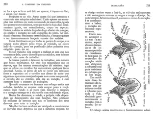 A Caminho do Triunfo.pdf