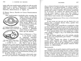 A Caminho do Triunfo.pdf