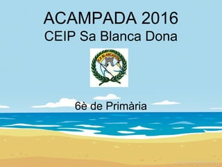 ACAMPADA 2016
CEIP Sa Blanca Dona
6è de Primària
 