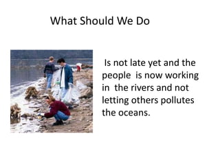 What Should We DoIs not late yet and the people  is now working in  the rivers and not letting others pollutes the oceans.