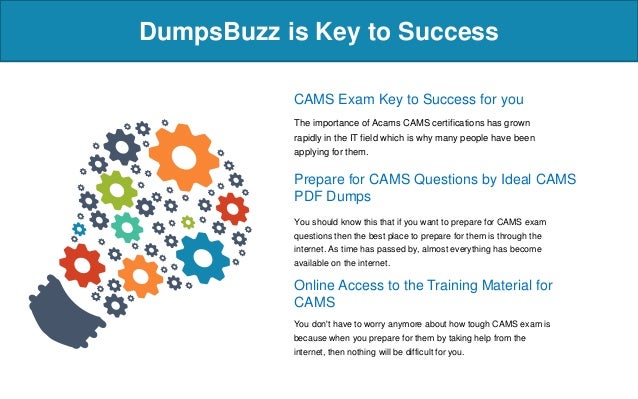 CAMS Testengine