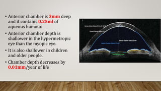 • Anterior chamber is 3mm deep
and it contains 0.25ml of
aqueous humour.
• Anterior chamber depth is
shallower in the hypermetropic
eye than the myopic eye.
• It is also shallower in children
and older people.
• Chamber depth decreases by
0.01mm/year of life
 