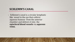 SCHLEMM’S CANAL
• Schlemm’s canal is a circular lymphatic
like vessel in the eye that collects
aqueous humour from the anterior
chamber and delivers it into the
episcleral blood vessels via aqueous
veins.
 