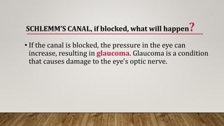 SCHLEMM’S CANAL, if blocked, what will happen?
• If the canal is blocked, the pressure in the eye can
increase, resulting in glaucoma. Glaucoma is a condition
that causes damage to the eye's optic nerve.
 