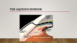 THE AQUEOUS HUMOUR
 