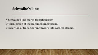Schwalbe’s Line
• Schwalbe’s line marks transition from
Termination of the Decemet’s membrane.
Insertion of trabecular meshwork into corneal stroma.
 