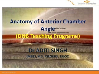 Anatomy of Anterior Chamber
Angle
(DNB Teaching Programe)
Dr ADITI SINGH
(MBBS, M.S, FGRGUHS , FAICO)
 