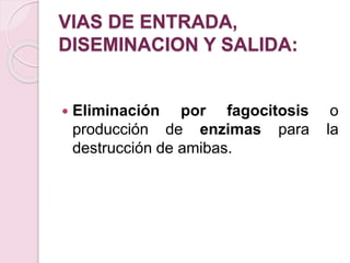VIAS DE ENTRADA,
DISEMINACION Y SALIDA:
 Eliminación por fagocitosis o
producción de enzimas para la
destrucción de amibas.
 