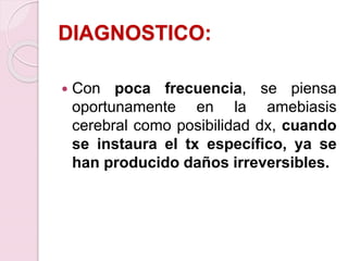 DIAGNOSTICO:
 Con poca frecuencia, se piensa
oportunamente en la amebiasis
cerebral como posibilidad dx, cuando
se instaura el tx específico, ya se
han producido daños irreversibles.
 