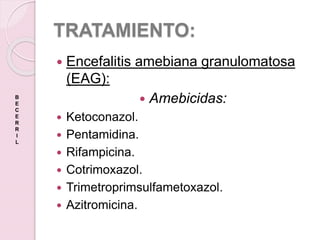 TRATAMIENTO:
 Encefalitis amebiana granulomatosa
(EAG):
 Amebicidas:
 Ketoconazol.
 Pentamidina.
 Rifampicina.
 Cotrimoxazol.
 Trimetroprimsulfametoxazol.
 Azitromicina.
B
E
C
E
R
R
I
L
 