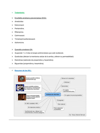 Tratamiento:
 Encefalitis amebiana granulomatosa (EAG):
 Amebicidas:
 Ketoconazol.
 Pentamidina.
 Rifampicina.
 Cotrimoxazol.
 Trimetroprimsulfametoxazol.
 Azitromicina.
 Queratitis amebiana QA:
 Suspender 1 o 2 días la terapia antimicrobiana que esté recibiendo.
 Quisticidas (afectan la membrana celular de la amiba y alteran su permeabilidad):
 Diamidinas (isetionato de propamidina y hexamidina).
 Biguanidas (propamidina y hexamidina).
__________________________________________________________________________________________
 Resumen de las AVL:
__________________________________________________________________________________________
 