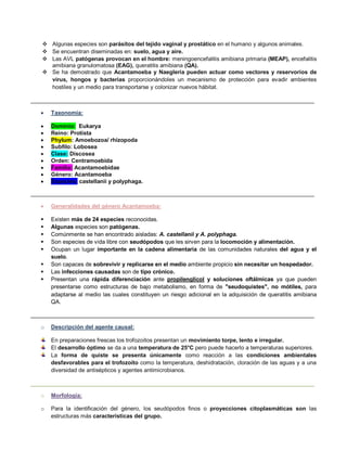  Algunas especies son parásitos del tejido vaginal y prostático en el humano y algunos animales.
 Se encuentran diseminadas en: suelo, agua y aire.
 Las AVL patógenas provocan en el hombre: meningoencefalitis amibiana primaria (MEAP), encefalitis
amibiana granulomatosa (EAG), queratitis amibiana (QA).
 Se ha demostrado que Acantamoeba y Naegleria pueden actuar como vectores y reservorios de
virus, hongos y bacterias proporcionándoles un mecanismo de protección para evadir ambientes
hostiles y un medio para transportarse y colonizar nuevos hábitat.
__________________________________________________________________________________________
 Taxonomía:
 Dominio: Eukarya
 Reino: Protista
 Phylum: Amoebozoa/ rhizopoda
 Subfilo: Lobosea
 Clase: Discosea
 Orden: Centramoebida
 Familia: Acantamoebidae
 Género: Acantamoeba
 Especies: castellanii y polyphaga.
__________________________________________________________________________________________
 Generalidades del género Acantamoeba:
 Existen más de 24 especies reconocidas.
 Algunas especies son patógenas.
 Comúnmente se han encontrado aisladas: A. castellanii y A. polyphaga.
 Son especies de vida libre con seudópodos que les sirven para la locomoción y alimentación.
 Ocupan un lugar importante en la cadena alimentaria de las comunidades naturales del agua y el
suelo.
 Son capaces de sobrevivir y replicarse en el medio ambiente propicio sin necesitar un hospedador.
 Las infecciones causadas son de tipo crónico.
 Presentan una rápida diferenciación ante propilenglicol y soluciones oftálmicas ya que pueden
presentarse como estructuras de bajo metabolismo, en forma de "seudoquistes", no mótiles, para
adaptarse al medio las cuales constituyen un riesgo adicional en la adquisición de queratitis amibiana
QA.
__________________________________________________________________________________________
o Descripción del agente causal:
En preparaciones frescas los trofozoítos presentan un movimiento torpe, lento e irregular.
El desarrollo óptimo se da a una temperatura de 25°C pero puede hacerlo a temperaturas superiores.
La forma de quiste se presenta únicamente como reacción a las condiciones ambientales
desfavorables para el trofozoíto como la temperatura, deshidratación, cloración de las aguas y a una
diversidad de antisépticos y agentes antimicrobianos.
__________________________________________________________________________________________
o Morfología:
o Para la identificación del género, los seudópodos finos o proyecciones citoplasmáticas son las
estructuras más características del grupo.
 