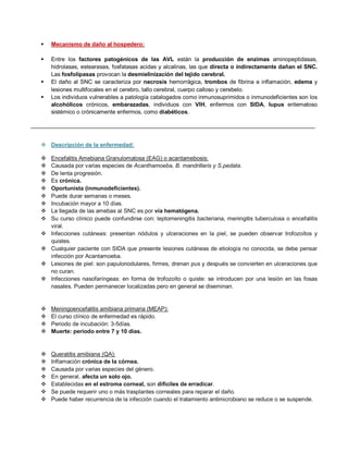  Mecanismo de daño al hospedero:
 Entre los factores patogénicos de las AVL están la producción de enzimas aminopeptidasas,
hidrolasas, estearasas, fosfatasas acidas y alcalinas, las que directa o indirectamente dañan el SNC.
Las fosfolipasas provocan la desmielinización del tejido cerebral.
 El daño al SNC se caracteriza por necrosis hemorrágica, trombos de fibrina e inflamación, edema y
lesiones multifocales en el cerebro, tallo cerebral, cuerpo calloso y cerebelo.
 Los individuos vulnerables a patología catalogados como inmunosuprimidos o inmunodeficientes son los
alcohólicos crónicos, embarazadas, individuos con VIH, enfermos con SIDA, lupus eritematoso
sistémico o crónicamente enfermos, como diabéticos.
__________________________________________________________________________________________
 Descripción de la enfermedad:
 Encefalitis Amebiana Granulomatosa (EAG) o acantamebosis:
 Causada por varias especies de Acanthamoeba, B. mandrillaris y S.pedata.
 De lenta progresión.
 Es crónica.
 Oportunista (inmunodeficientes).
 Puede durar semanas o meses.
 Incubación mayor a 10 días.
 La llegada de las amebas al SNC es por vía hematógena.
 Su curso clínico puede confundirse con: leptomeningitis bacteriana, meningitis tuberculosa o encefalitis
viral.
 Infecciones cutáneas: presentan nódulos y ulceraciones en la piel, se pueden observar trofozoítos y
quistes.
 Cualquier paciente con SIDA que presente lesiones cutáneas de etiología no conocida, se debe pensar
infección por Acantamoeba.
 Lesiones de piel: son papulonodulares, firmes, drenan pus y después se convierten en ulceraciones que
no curan.
 Infecciones nasofaríngeas: en forma de trofozoíto o quiste: se introducen por una lesión en las fosas
nasales. Pueden permanecer localizadas pero en general se diseminan.
 Meningoencefalitis amibiana primaria (MEAP):
 El curso clínico de enfermedad es rápido.
 Periodo de incubación: 3-5días.
 Muerte: periodo entre 7 y 10 días.
 Queratitis amibiana (QA):
 Inflamación crónica de la córnea.
 Causada por varias especies del género.
 En general, afecta un solo ojo.
 Establecidas en el estroma corneal, son difíciles de erradicar.
 Se puede requerir uno o más trasplantes corneales para reparar el daño.
 Puede haber recurrencia de la infección cuando el tratamiento antimicrobiano se reduce o se suspende.
 