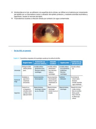  Introducidas en el ojo, se adhieren a la superficie de la córnea, se infiltran en el estroma por rompimiento
del epitelio por un traumatismo menor o abrasión del epitelio protector y, mediante actividad enzimática y
fagocitosis, causan la necrosis del tejido.
 Traumatismos oculares e infección directa por contacto con agua contaminada.
__________________________________________________________________________________________
o De las AVL en general:
 