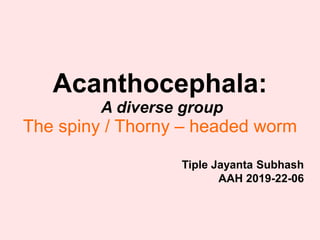 Acanthocephala:
A diverse group
The spiny / Thorny – headed worm
Tiple Jayanta Subhash
AAH 2019-22-06
 