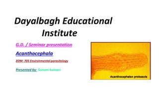 Dayalbagh Educational
Institute
G.D. / Seminar presentation
Acanthocephala
Presented by- Sonam kumari
 