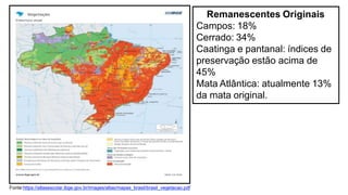 Remanescentes Originais
Campos: 18%
Cerrado: 34%
Caatinga e pantanal: índices de
preservação estão acima de
45%
Mata Atlân...