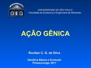 UNIVERSIDADE DE SÃO PAULO
 Faculdade de Zootecnia e Engenharia de Alimentos




AÇÃO GÊNICA

 Roulber C. G. da Silva

 Genética Básica e Evolução
    Pirassununga, 2011
 