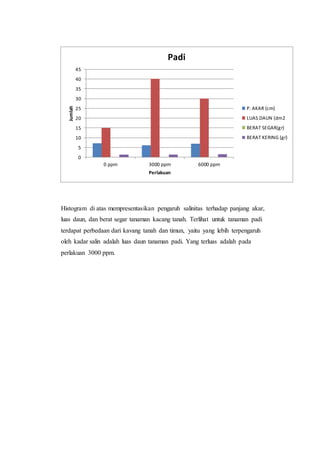 Histogram di atas mempresentasikan pengaruh salinitas terhadap panjang akar,
luas daun, dan berat segar tanaman kacang tanah. Terlihat untuk tanaman padi
terdapat perbedaan dari kavang tanah dan timun, yaitu yang lebih terpengaruh
oleh kadar salin adalah luas daun tanaman padi. Yang terluas adalah pada
perlakuan 3000 ppm.
0
5
10
15
20
25
30
35
40
45
0 ppm 3000 ppm 6000 ppm
Jumlah
Perlakuan
Padi
P. AKAR (cm)
LUAS DAUN (dm2
BERAT SEGAR(gr)
BERAT KERING (gr)
 