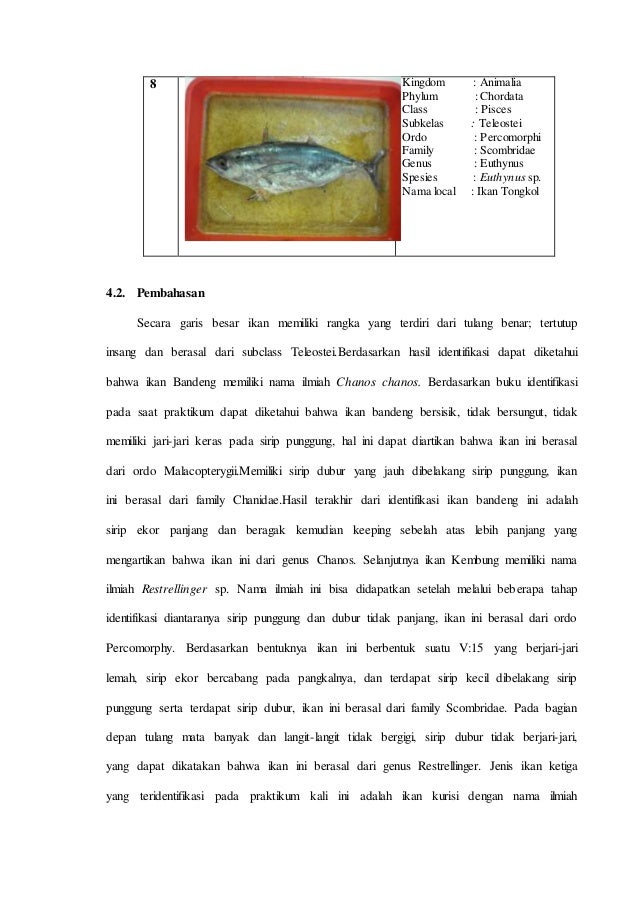 Pengertian Ikan Menurut Jurnal / Ikan Wikipedia Bahasa Indonesia