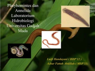 Oleh:
Lutfi Handayani ( BDP’12 )
Azhar Fattah Abdillah ( MSP’13)
Platyhemintes dan
Annelida
Laboratorium
Hidrobiologi
Universitas Gadjah
Mada
 