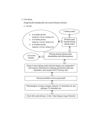 3. Cara Kerja
Pengaruh pH terhadap aktivitas enzim Diastase/Amilase
a. Uji Iod
3 tabung reaksi
1. 6 ml buffer pH=4,0
Substrat= 3 ml lar. Amilum 1%
2. 6 ml buffer pH=6,0
Substrat= 3 ml lar. Amilum 1%
3. 6 ml buffer pH=8,0
Substrat= 3 ml lar. Amilum 1%

1 ml enzim
diastase

Diisikan pada
masing-masing
tabung reaksi

Masing-masing tabung reaksi
ditambahkan dan dihomogenkan.

Setiap 5 menit tabung reaksi diamati dengan cara mengambil 1
tetes larutan. Diteteskan ke lempeng porselin/test plate dan
ditambah 1 tetes larutan 0,01 N Iod (uji iod).

Dicatat perubahan warna yang terjadi

Dibandingkan warnanya dengan, dekstrin 1% ditambah iod, dan
glikogen 1% ditambah iod.

Hasil akhir pada tabung 1,2 dan 3 diuji dengan reagen Benedict

 