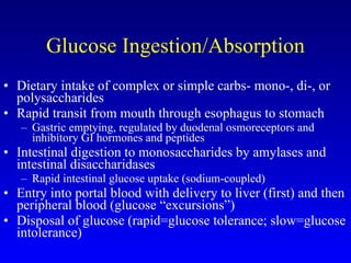 Glucose Ingestion/Absorption Dietary intake of complex or simple carbs- mono-, di-, or polysaccharides Rapid transit from mouth through esophagus to stomach Gastric emptying, regulated by duodenal osmoreceptors and inhibitory GI hormones and peptides Intestinal digestion to monosaccharides by amylases and intestinal disaccharidases Rapid intestinal glucose uptake (sodium-coupled) Entry into portal blood with delivery to liver (first) and then peripheral blood (glucose “excursions”) Disposal of glucose (rapid=glucose tolerance; slow=glucose intolerance) 