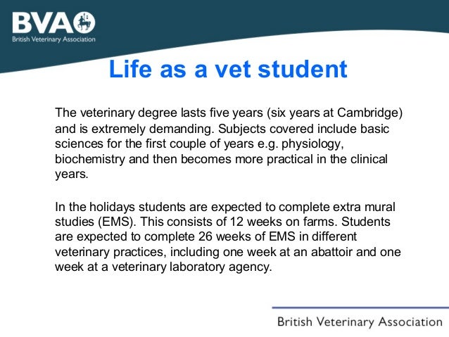 a career in the veterinary profession vet degree