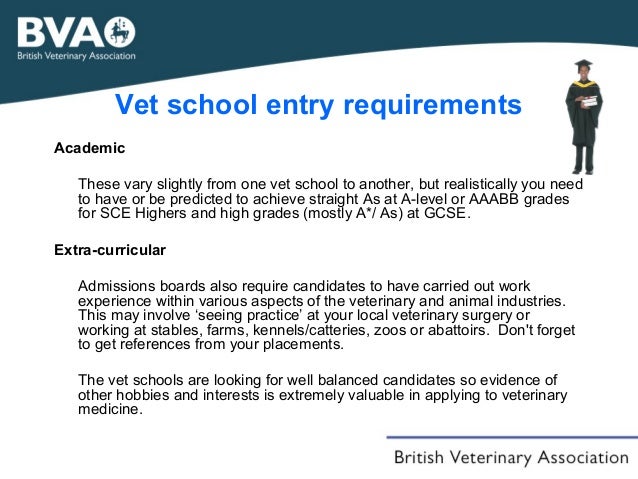 A career in the veterinary profession