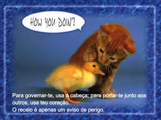 Para governar-te, usa a cabeça; para portar-te junto aos outros, usa teu coração. O receio é apenas um aviso de perigo.  