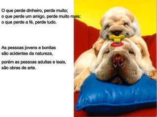 O que perde dinheiro, perde muito; o que perde um amigo, perde muito mais; o que perde a fé, perde tudo. As pessoas jovens e bonitas são acidentes da natureza, porém as pessoas adultas e leais, são obras de arte. 