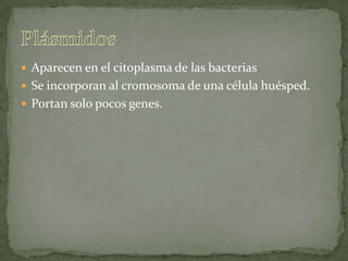 Aparecen en el citoplasma de las bacteriasSe incorporan al cromosoma de una célula huésped.Portan solo pocos genes.Plásmidos