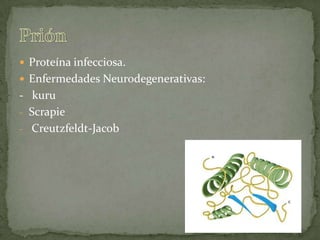 Proteína infecciosa. Enfermedades Neurodegenerativas:-   kuruScrapie
