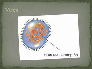 Creutzfeldt-JacobPrión