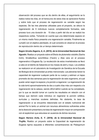 observación del proceso que se dio dentro de ellas, el seguimiento se lo
realizo todos los días, en el transcurso de estos días se apreciaron fluidos
y sobre todo que el proceso de regeneración es variable según las
especies. De las tres planarias utilizadas para el proyecto, se obtuvo la
regeneración de 9 individuos nuevos completamente formados, este
proceso tuvo una duración de 15 días a partir del día en se realizó los
respectivos cortes. Tomando en cuenta que una determinada especie en
un mismo medio físico presenta una regeneración variable. Finalmente se
cumplió con el objetivo planteado, el cual consistía en observar el proceso
de reproducción dentro de un tiempo determinado
Según Urrutia Zegarra, A, A. (2015), de la Universidad Nacional de San
Agustín. Realizo un proyecto sobre el Efecto de plukenetia volubilis (Sacha
Inchi), Smallanthus sonchifolius (Yacón) y Aloe vera en el proceso
regenerativo d Dugesia Sp. La recolección de estos invertebrados se llevó
a cabo en el distrito de Sabandía en los meses de abril y mayo. Los análisis
se realizaron en el Laboratorio de Investigación de Genética de la Escuela
de Biología de la Universidad ya antes mencionada. Las planarias tienen la
capacidad de regenerar cualquier parte de su cuerpo y estiman un lapso
promedio de dos semanas para la regeneración de este organismo, el cual
puede variar según la especie y la porción a regenerar. La regeneración de
la cola tomó aproximadamente de dos a cuatro días más con respecto a la
regeneración de la cabeza, siendo difícil definir cuándo se ha completado,
por lo que se decidió tomar en cuenta los resultados en relación con el
tiempo que demoró cada individuo en regenerar la porción cefálica,
aurículas y manchas oculares definidas. No obstante, la tasa de
regeneración si se encuentra relacionada con el estado nutricional del
animal Por lo tanto un animal con recursos alimenticios suficientes antes
de la disección presentara una tasa de regeneración mayor en comparación
con el espécimen que estuviese en ausencia de dichos recursos
Según Herrera Avila, E, Y. (2018), de la Universidad Nacional de
Trujillo. Realizo un proyecto sobre la Capacidad de regeneración de
Dugesia tigrina expuesta a diferentes concentraciones de Pelargonium
 