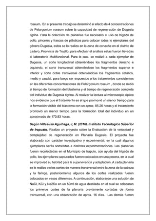 roseum. En el presente trabajo se determinó el efecto de 4 concentraciones
de Pelargonium roseum sobre la capacidad de regeneración de Dugesia
tigrina. Para la colección de planarias fue necesario el uso de hígado de
pollo, pinceles y frascos de plásticos para colocar todos lo ejemplares del
género Dugesia, estos se lo realizo en la zona de conache en el distrito de
Ladero, Provincia de Trujillo, para efectuar el análisis estas fueron llevadas
al laboratorio Multifuncional. Para lo cual, se realizó a cada ejemplar de
Dugesia, un corte longitudinal obteniéndose los fragmentos derecho e
izquierdo, el corte transversal obteniéndose los fragmentos superior e
inferior y corte doble transversal obteniéndose los fragmentos cefálico,
medio y caudal, para luego ser expuestos a los tratamientos consistentes
en las diferentes concentraciones de Pelargonium roseum , donde se midió
el tiempo de formación del blastema y el tiempo de regeneración completa
del individuo de Dugesia tigrina. Al realizar la lectura al microscopio óptico
nos evidencio que el tratamiento es el que promovió un menor tiempo para
la formación visible del blastema con un aprox. 85.26 horas y el tratamiento
promovió un menor tiempo para la formación total del individuo en un
aproximado de 173.83 horas.
Según Villasuso Aguiñaga, J, M. (2016). Instituto Tecnológico Superior
de Irapuato. Realizo un proyecto sobre la Evaluación de la velocidad y
complejidad de regeneración en Planaria Dugesia. El proyecto fue
elaborado con carácter investigativo y experimental, en la cual algunos
ejemplares serás sometidas a distintas experimentaciones. Las planarias
fueron recolectadas en el Municipio de Irapulo, con ayuda del hígado de
pollo, los ejemplares capturados fueron colocados en una pecera, en la cual
se improvisó su habitad para la supervivencia y adaptación. A cada planaria
se le realizo varios cortes de manera transversal entre la zona de la cabeza
y la faringe, posteriormente algunos de los cortes realizados fueron
colocados en vasos diferentes. A continuación, elaboraron una solución de
NaCl, KCl y Na2So en un 50ml de agua destilada en el cual se colocaron
los primeros cortes de la planaria previamente cortadas de forma
transversal, con una observación de aprox. 16 días. Las demás fueron
 