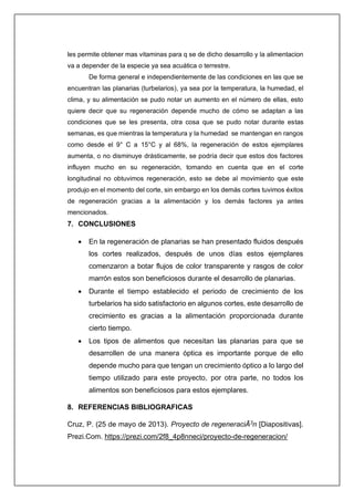 les permite obtener mas vitaminas para q se de dicho desarrollo y la alimentacion
va a depender de la especie ya sea acuática o terrestre.
De forma general e independientemente de las condiciones en las que se
encuentran las planarias (turbelarios), ya sea por la temperatura, la humedad, el
clima, y su alimentación se pudo notar un aumento en el número de ellas, esto
quiere decir que su regeneración depende mucho de cómo se adaptan a las
condiciones que se les presenta, otra cosa que se pudo notar durante estas
semanas, es que mientras la temperatura y la humedad se mantengan en rangos
como desde el 9° C a 15°C y al 68%, la regeneración de estos ejemplares
aumenta, o no disminuye drásticamente, se podría decir que estos dos factores
influyen mucho en su regeneración, tomando en cuenta que en el corte
longitudinal no obtuvimos regeneración, esto se debe al movimiento que este
produjo en el momento del corte, sin embargo en los demás cortes tuvimos éxitos
de regeneración gracias a la alimentación y los demás factores ya antes
mencionados.
7. CONCLUSIONES
• En la regeneración de planarias se han presentado fluidos después
los cortes realizados, después de unos días estos ejemplares
comenzaron a botar flujos de color transparente y rasgos de color
marrón estos son beneficiosos durante el desarrollo de planarias.
• Durante el tiempo establecido el periodo de crecimiento de los
turbelarios ha sido satisfactorio en algunos cortes, este desarrollo de
crecimiento es gracias a la alimentación proporcionada durante
cierto tiempo.
• Los tipos de alimentos que necesitan las planarias para que se
desarrollen de una manera óptica es importante porque de ello
depende mucho para que tengan un crecimiento óptico a lo largo del
tiempo utilizado para este proyecto, por otra parte, no todos los
alimentos son beneficiosos para estos ejemplares.
8. REFERENCIAS BIBLIOGRAFICAS
Cruz, P. (25 de mayo de 2013). Proyecto de regeneraciÃ3
n [Diapositivas].
Prezi.Com. https://prezi.com/2f8_4p8nneci/proyecto-de-regeneracion/
 