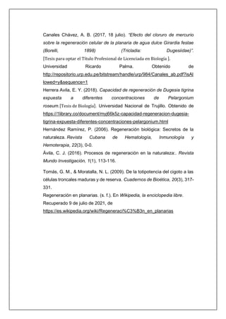 Canales Chávez, A. B. (2017, 18 julio). “Efecto del cloruro de mercurio
sobre la regeneración celular de la planaria de agua dulce Girardia festae
(Borelli, 1898) (Tricladia: Dugesiidae)”.
[Tesis para optar el Título Profesional de Licenciada en Biología ].
Universidad Ricardo Palma. Obtenido de
http://repositorio.urp.edu.pe/bitstream/handle/urp/984/Canales_ab.pdf?isAl
lowed=y&sequence=1
Herrera Avila, E. Y. (2018). Capacidad de regeneración de Dugesia tigrina
expuesta a diferentes concentraciones de Pelargonium
roseum.[Tesis de Biología]. Universidad Nacional de Trujillo. Obtenido de
https://1library.co/document/myj66k5z-capacidad-regeneracion-dugesia-
tigrina-expuesta-diferentes-concentraciones-pelargonium.html
Hernández Ramírez, P. (2006). Regeneración biológica: Secretos de la
naturaleza. Revista Cubana de Hematología, Inmunología y
Hemoterapia, 22(3), 0-0.
Ávila, C. J. (2016). Procesos de regeneración en la naturaleza:. Revista
Mundo Investigación, 1(1), 113-116.
Tomás, G. M., & Moratalla, N. L. (2009). De la totipotencia del cigoto a las
células troncales maduras y de reserva. Cuadernos de Bioética, 20(3), 317-
331.
Regeneración en planarias. (s. f.). En Wikipedia, la enciclopedia libre.
Recuperado 9 de julio de 2021, de
https://es.wikipedia.org/wiki/Regeneraci%C3%B3n_en_planarias
 