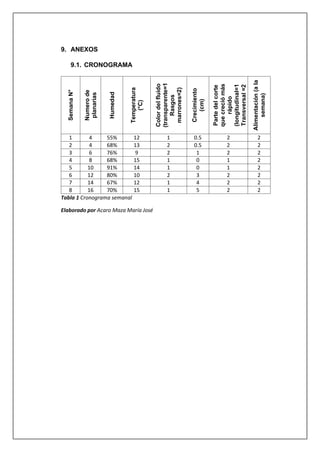 9. ANEXOS
9.1. CRONOGRAMA
Semana
N°
Numero
de
planarias
Humedad
Temperatura
(°C)
Color
del
fluido
(transparente=1
Rasgos
marrones=2)
Crecimiento
(cm)
Parte
del
corte
que
creció
más
rápido
(longitudinal=1
Transversal
=2
Alimentación
(a
la
semana)
1 4 55% 12 1 0.5 2 2
2 4 68% 13 2 0.5 2 2
3 6 76% 9 2 1 2 2
4 8 68% 15 1 0 1 2
5 10 91% 14 1 0 1 2
6 12 80% 10 2 3 2 2
7 14 67% 12 1 4 2 2
8 16 70% 15 1 5 2 2
Tabla 1 Cronograma semanal
Elaborado por Acaro Maza María José
 