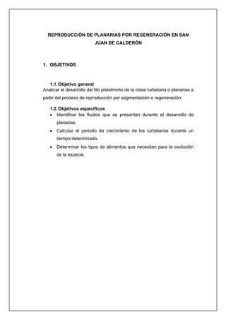 REPRODUCCIÓN DE PLANARIAS POR REGENERACIÓN EN SAN
JUAN DE CALDERÓN
1. OBJETIVOS
1.1.Objetivo general
Analizar el desarrollo del filo platelminto de la clase turbelaria o planarias a
partir del proceso de reproducción por segmentación o regeneración.
1.2.Objetivos específicos
• Identificar los fluidos que se presenten durante el desarrollo de
planarias.
• Calcular el periodo de crecimiento de los turbelarios durante un
tiempo determinado.
• Determinar los tipos de alimentos que necesitan para la evolución
de la especie.
 