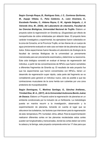 Según Cornejo Roque, B., Rodríguez Soto, J. C., Contreras Quiñones,
M., Aspajo Villalaz, C., Peña Calderón, A., León Alcántara, E.,
Escobedo Paredes, C., Aldama Reyna, C. W., Agreda Delgado, J., &
Valverde Alva, M., (2020), del Laboratorio de citometría, Facultad de
las Ciencias Biológicas, Universidad Nacional de Trujillo. Elaboro un
proyecto sobre la regeneración en Girardia sp. (Dugesiidae) por efecto de
nanopartículas de cobre sintetizadas por ablación láser. El proyecto tiene
carácter investigativo y experimental, los ejemplares fueron colectados en
la zona de Conache, en la Provincia Trujillo, en las riberas de un cuerpo de
agua previamente evaluado en este caso se tratan de las planarias de agua
dulce. Estos especímenes fueron llevados al Laboratorio de Zoología de la
facultad de ciencias Biológicas de la universidad ya previamente
mencionada para ser previamente examinados y determinar su taxonomía.
Este ciclo biológico consistió en evaluar el tiempo de regeneración del
individuo, a partir de las concentraciones de NPsCu que fueron sometidos
a diferentes fragmentos de Girardia sp. El resultado de este proyecto fue
que los especímenes que fueron concentrados con NPsCu, tienen un
desarrollo de regeneración super rápido, cada parte del fragmento se va
completando para general un individuo nuevo, esto es posible a que las
contracciones musculares de la zona herida son cubiertas por una zona
protectora de mucopolisacárido
Según Domínguez, T., Martínez Santiago, G., Sánchez Arellanes.,
Trinidad Diaz, M. A., (2017), de la Universidad Autónoma Benito Juárez
de Oaxaca. Elaboro un Proyecto sobre la regeneración de planarias en un
ambiente condicionado por la inclusión de un fertilizante. La metodología
puesta en marcha recurrir a la investigación, observación y la
experimentación de planarias, tomando en cuenta el lugar que se
obtuvieron los turbelarios, los factores que intervienen para la regeneración
de esta: temperatura, PH, humedad, clima, altitud. Para la experimentación
realizaron diferentes cortes en las planarias recolectadas estos cortes
pueden ser longitudinales y transversales, donde los cortes deben ser entre
la cabeza y la faringe, este proyecto comprende entre los 17 días para que
 