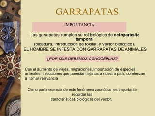 GARRAPATAS IMPORTANCIA Las garrapatas cumplen su rol biológico de  ectoparásito temporal   (picadura, introducción de toxina, y vector biológico).   EL HOMBRE SE INFESTA CON GARRAPATAS DE ANIMALES Con el aumento de viajes, migraciones, importación de especies  animales, infecciones que parecían lejanas a nuestro país, comienzan  a  tomar relevancia   Como parte esencial de este fenómeno zoonótico  es importante recordar las  características biológicas del vector.    ¿ POR QUE DEBEMOS CONOCERLAS ? 