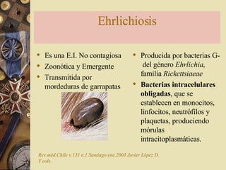 Ehrlichiosis Es una E.I. No contagiosa Zoonótica y Emergente Transmitida por mordeduras de garrapatas Producida por bacterias G-  del género  Ehrlichia , familia  Rickettsiaeae Bacterias intracelulares obligadas , que se establecen en monocitos, linfocitos, neutrófilos y plaquetas, produciendo mórulas intracitoplasmáticas. Rev.méd.Chile v.131 n.1 Santiago ene.2003 Javier López D. Y cols. 