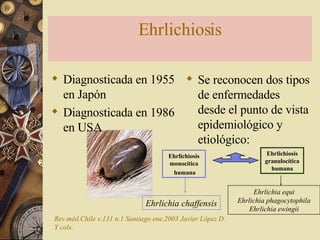 Ehrlichiosis Diagnosticada en 1955 en Japón Diagnosticada en 1986 en USA Se reconocen dos tipos de enfermedades desde el punto de vista epidemiológico y etiológico: Rev.méd.Chile v.131 n.1 Santiago ene.2003 Javier López D. Y cols. Ehrlichiosis monocítica humana Ehrlichia chaffensis Ehrlichiosis granulocítica humana Ehrlichia   equi Ehrlichia   phagocytophila Ehrlichia   ewingii 